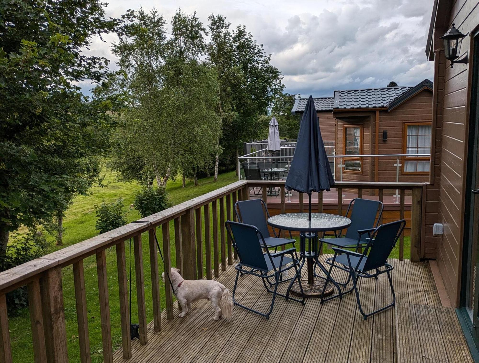 Rustic Lodge Retreat At Riverview Holiday Park Newcastleton エクステリア 写真