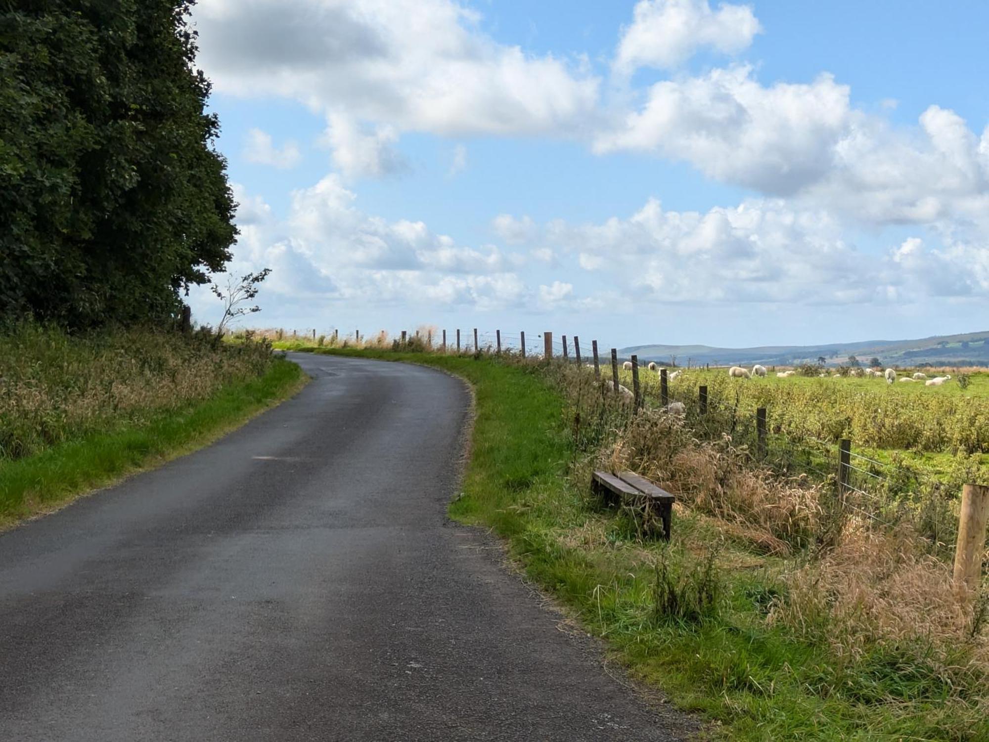 Rustic Lodge Retreat At Riverview Holiday Park Newcastleton エクステリア 写真