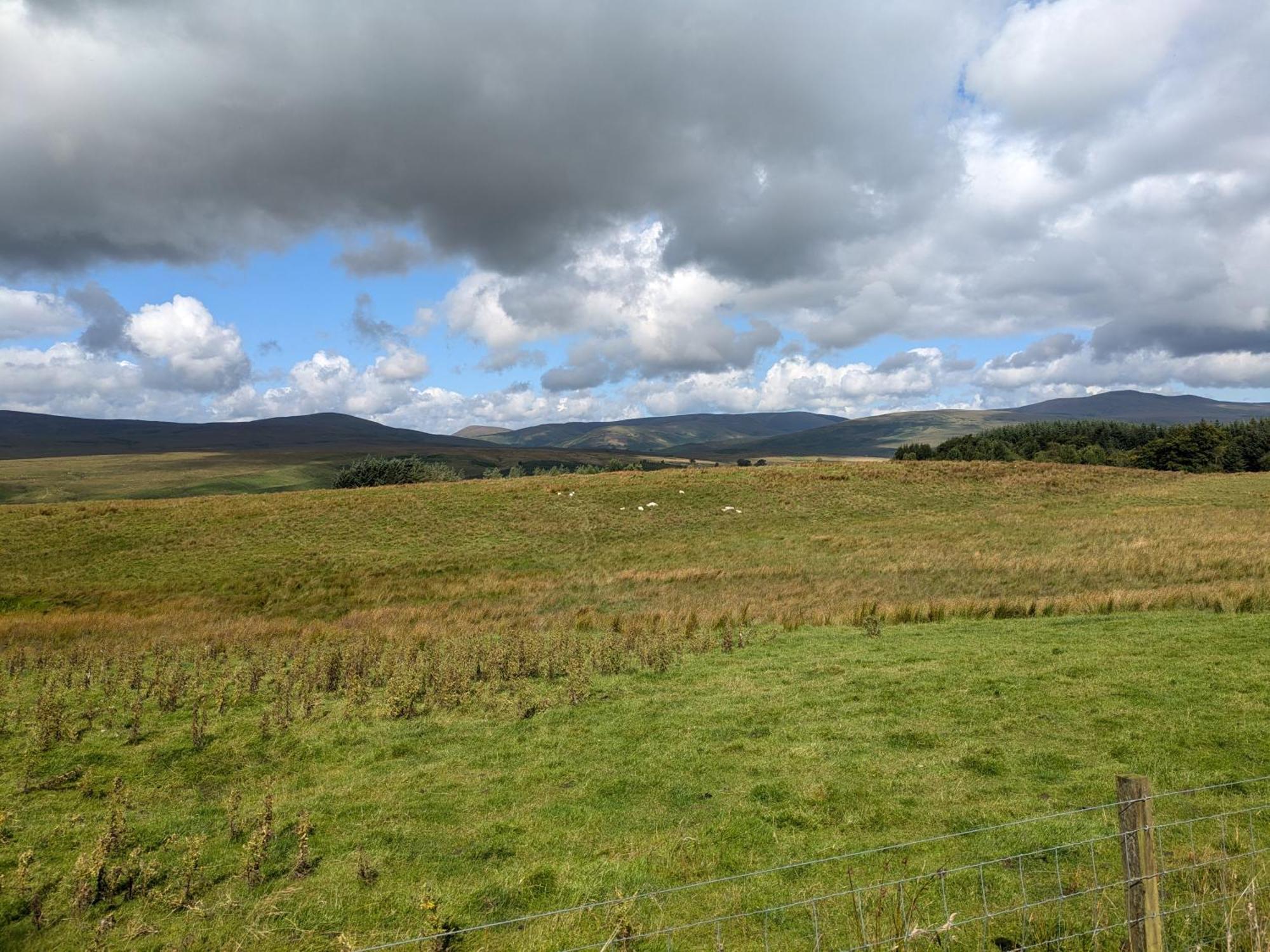 Rustic Lodge Retreat At Riverview Holiday Park Newcastleton エクステリア 写真