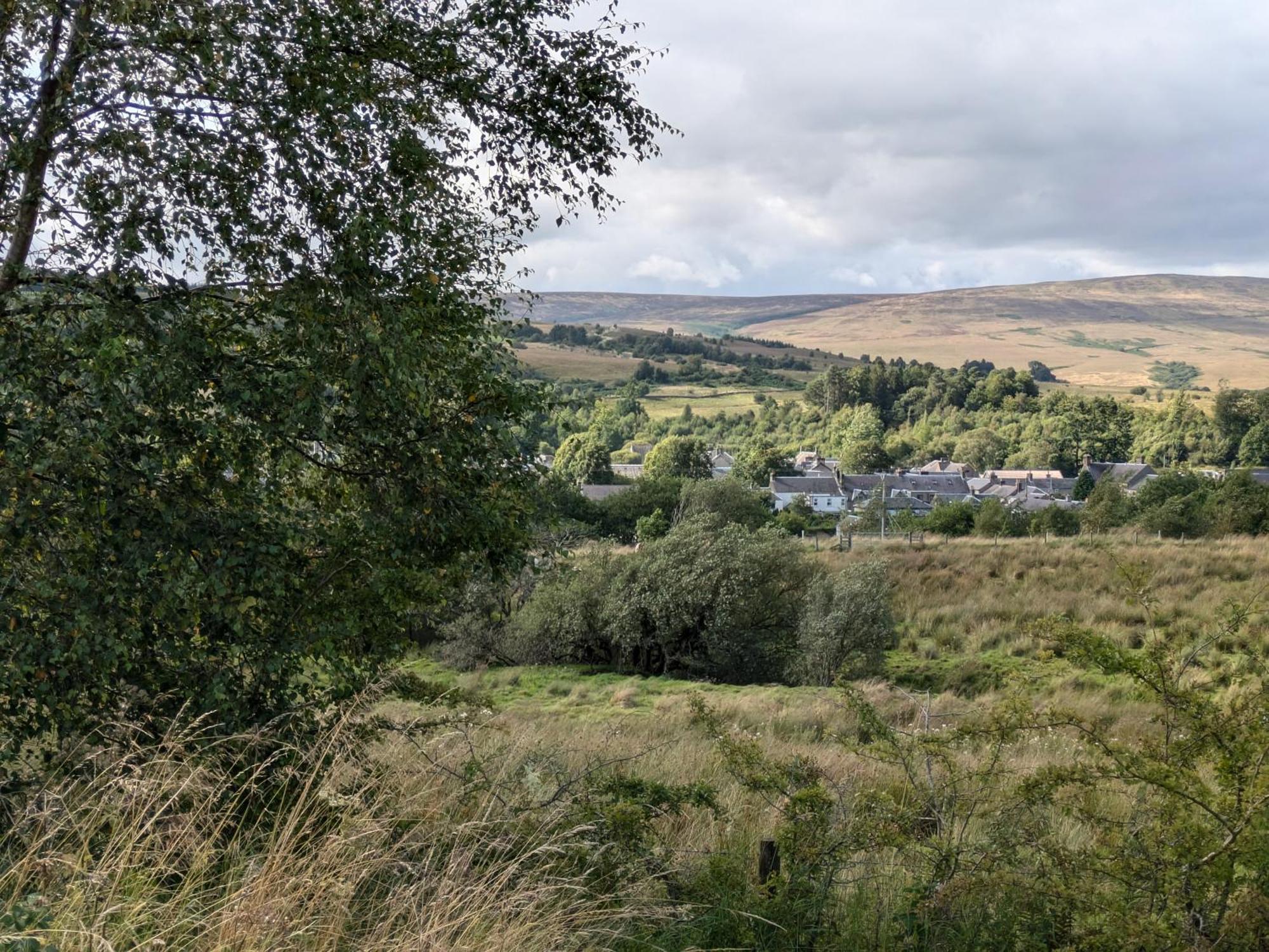 Rustic Lodge Retreat At Riverview Holiday Park Newcastleton エクステリア 写真